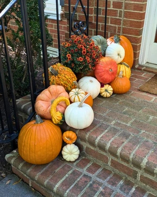 Pumpkin display