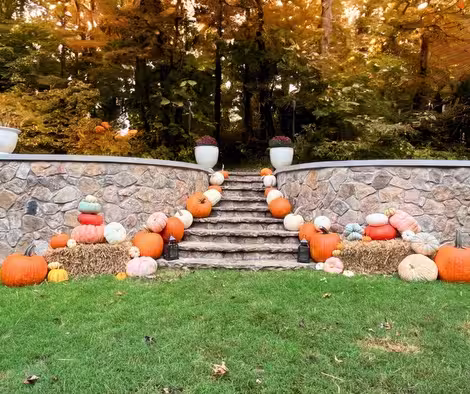 Pumpkin display