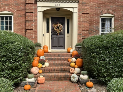 Pumpkin display