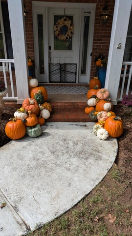 Pumpkin display