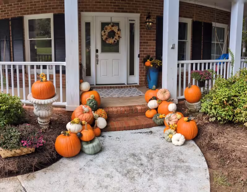 Pumpkin display
